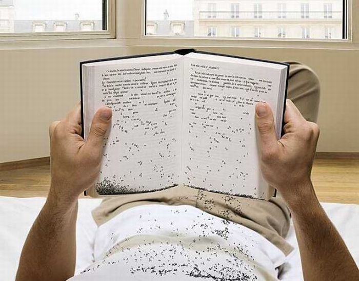 http://de.acidcow.com/pics/20090907/pics/2/photo_manipulation_02.jpg