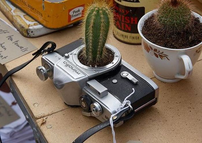 http://de.acidcow.com/pics/20090922/acid_picdump_78_46.jpg