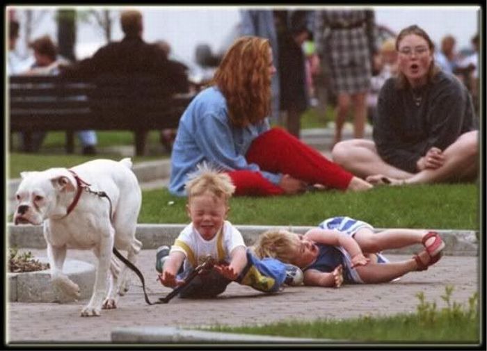 wtf_pictures_part_2_14.jpg