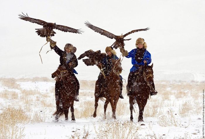 golden eagle hunting. tattoo Eagle hunting