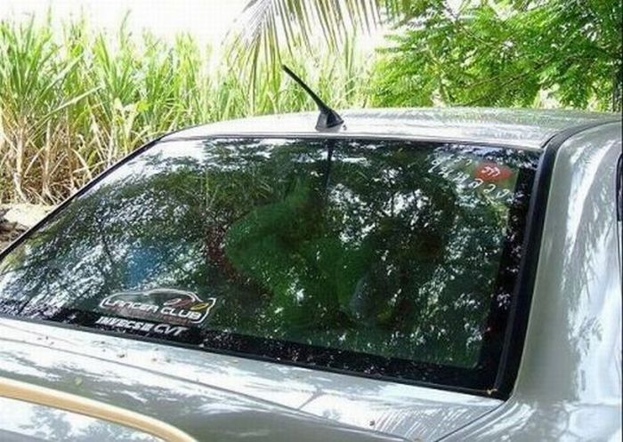 [Image: car_sex_02.jpg]