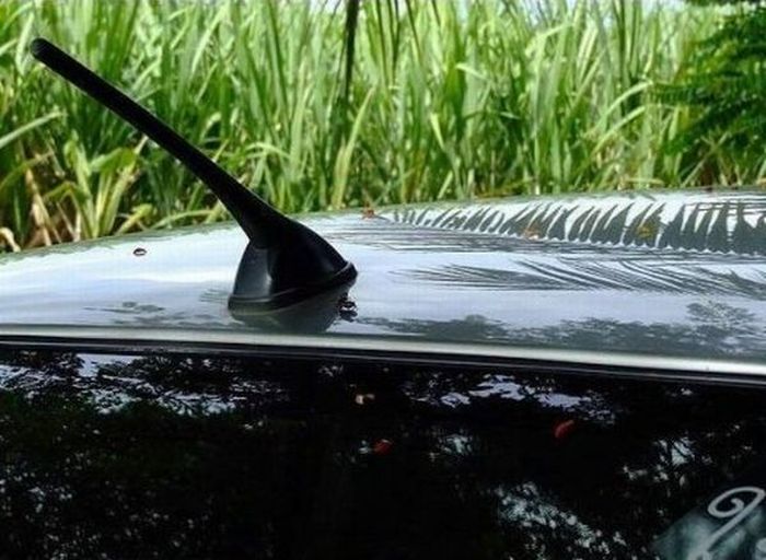 [Image: car_sex_03.jpg]