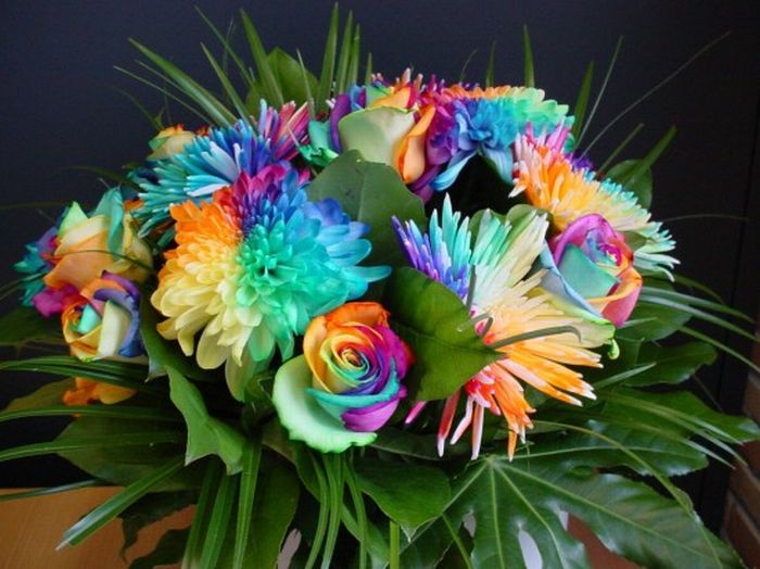 http://de.acidcow.com/pics/20100607/colorful_flowers_14.jpg