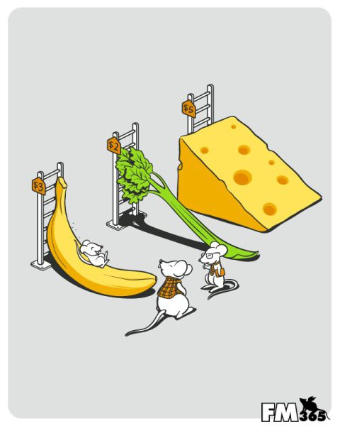 estampa estampa