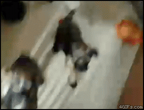 http://de.acidcow.com/pics/20100827/gif_04.gif