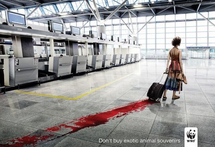 http://de.acidcow.com/pics/20101207/animal_protection_ads_21.jpg