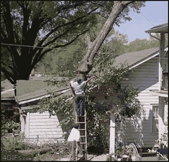 gif_06.gif
