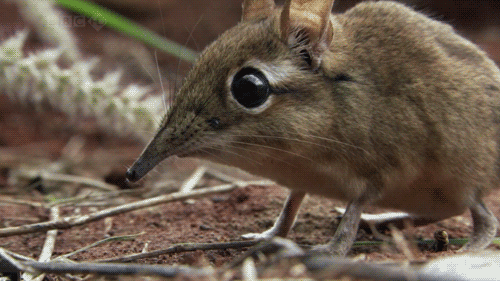 [Image: gif_of_the_week_03.gif]