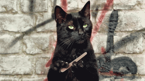 http://de.acidcow.com/pics/20110328/cat_10.gif