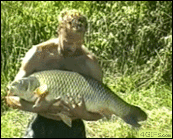 http://de.acidcow.com/pics/20110523/gif_01.gif