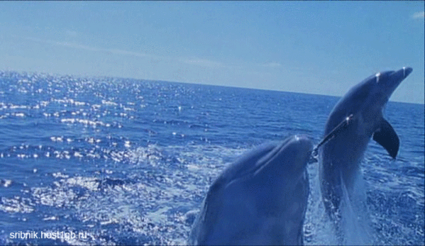 flora_and_fauna_28.gif