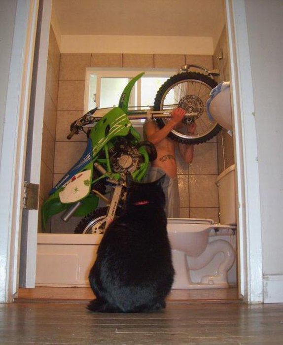 http://de.acidcow.com/pics/20120130/acid_picdump_11.jpg