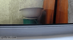 gifs_04.gif