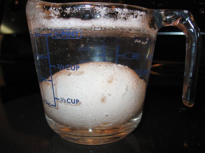 egg_02.jpg
