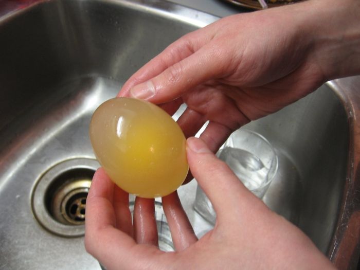 egg_04.jpg