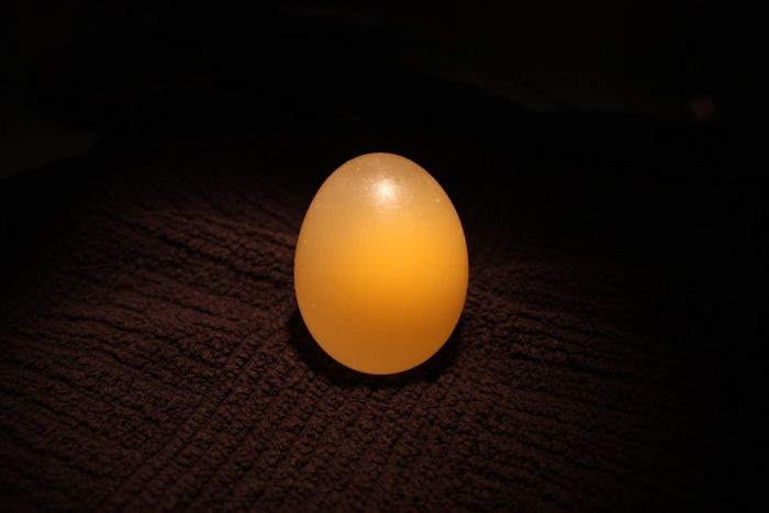 egg_05.jpg