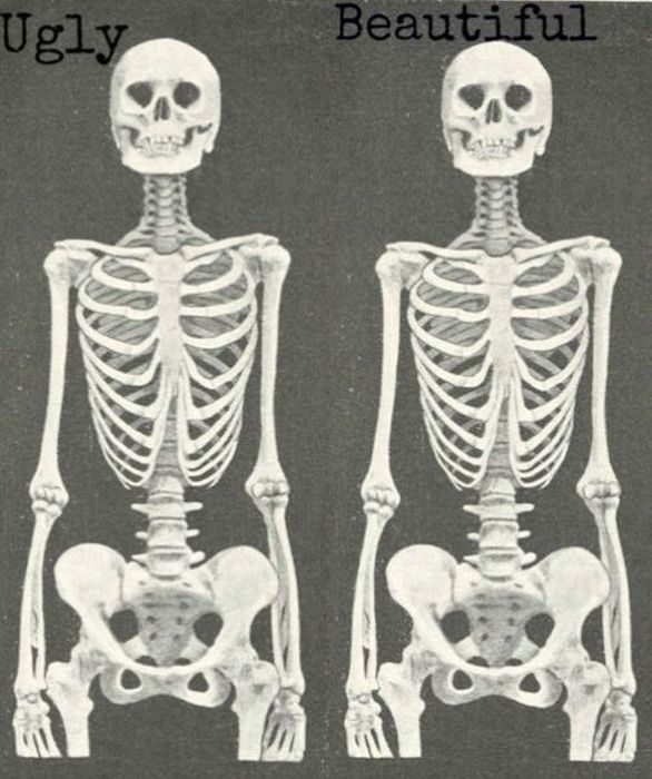 scan