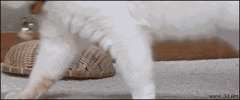 gifs_12.gif
