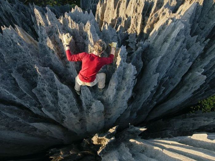 acid_picdump_104.jpg