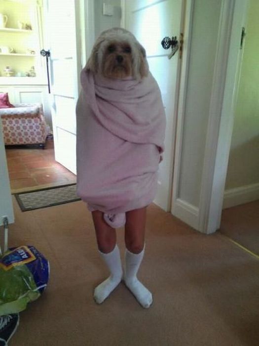 acid_picdump_133.jpg