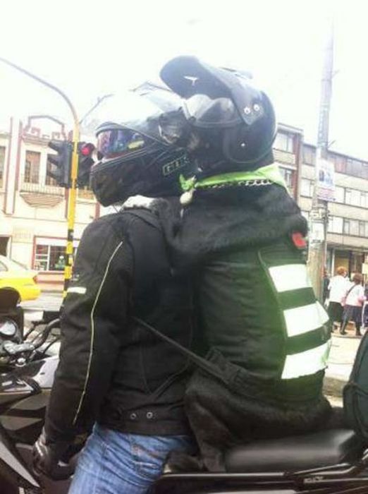 acid_picdump_27.jpg