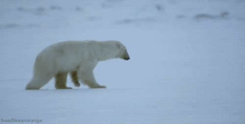 awkward_31.gif