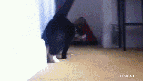 gifs_15.gif